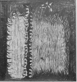 Growth and my spine