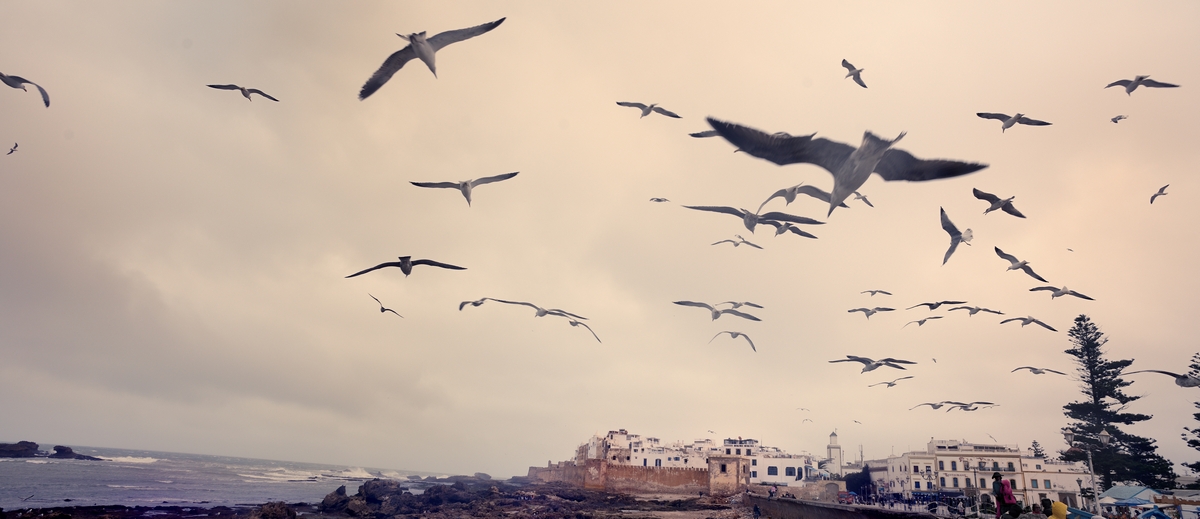 Essaouira, midday