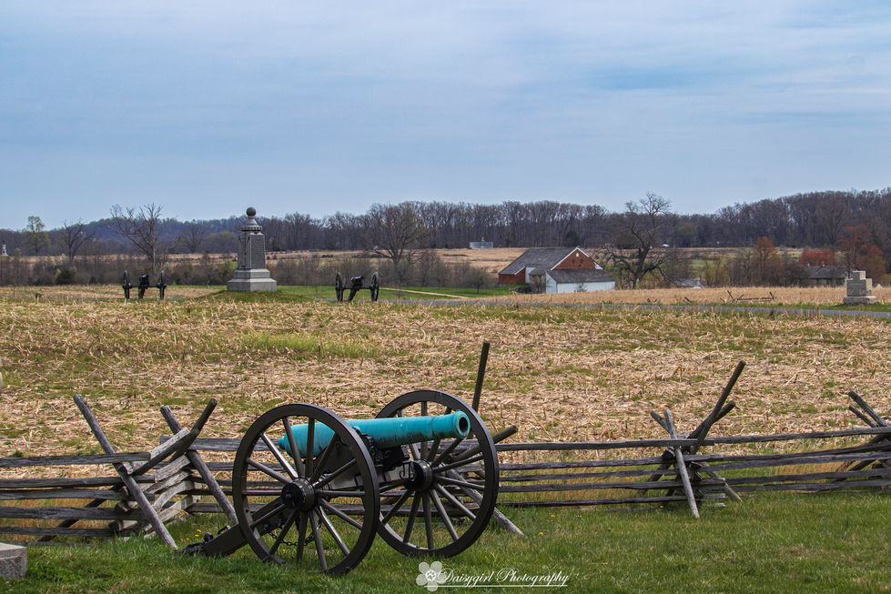 IMG_9423-Edit copy.jpg