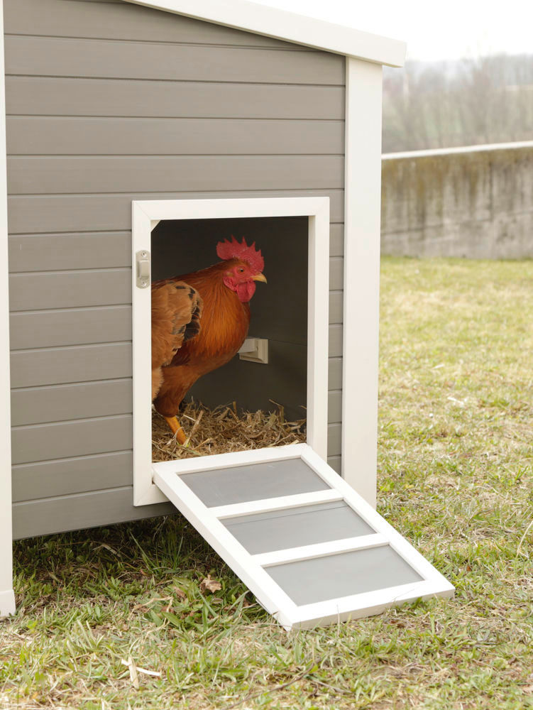Miniature : Clapier Eco Barney (Kerbl)
