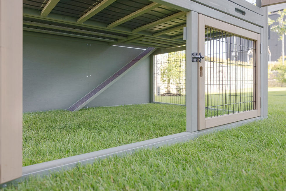 Miniature : Clapier Suite XXL