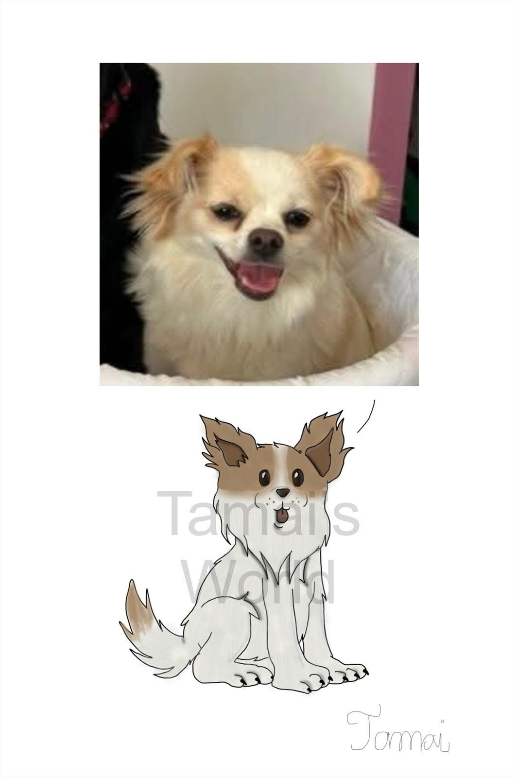 Custom Pet Portrait