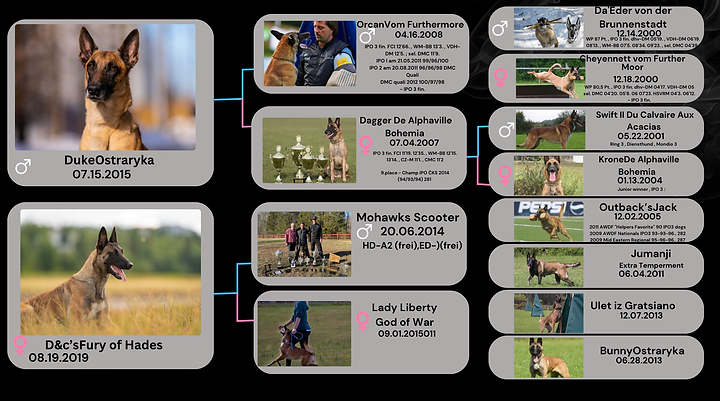 Screen Shot 2025-03-20 at 7.13.56 PM.png