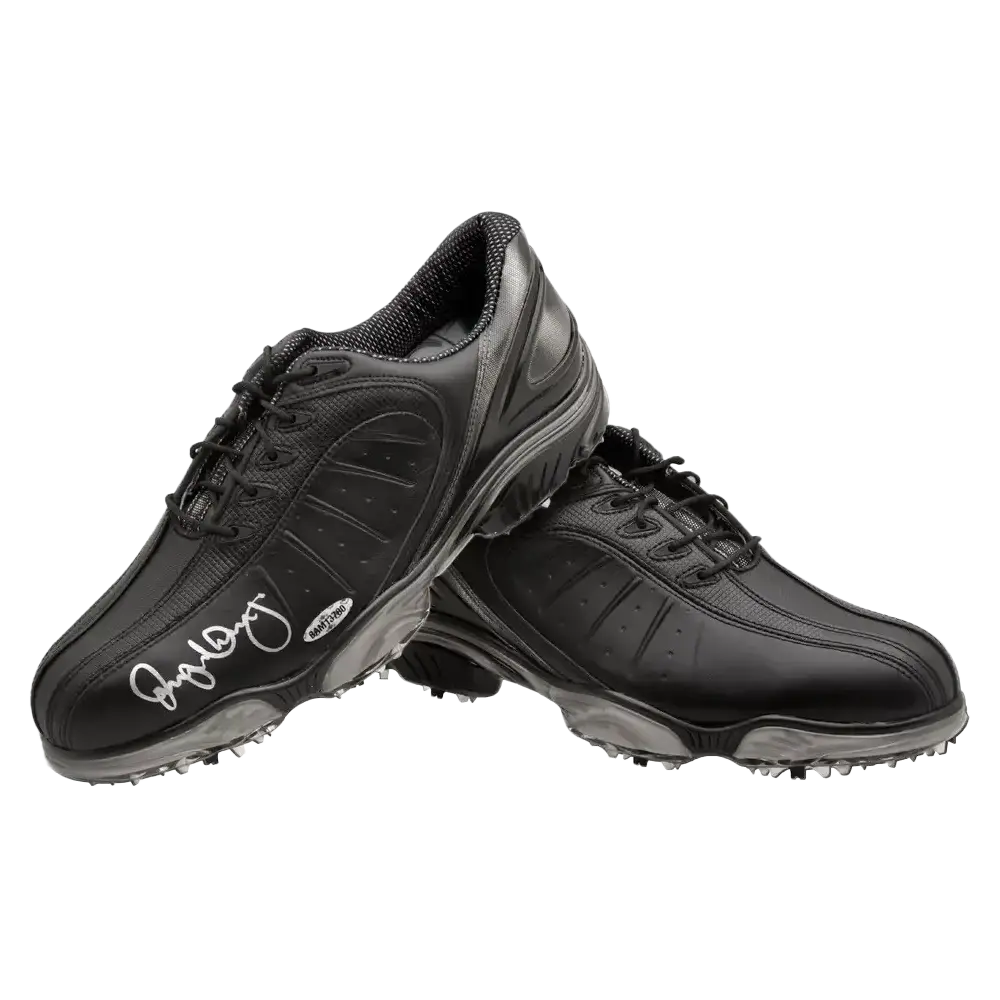 Paire chaussures golf FootJoy noire signée par Rory McIlroy