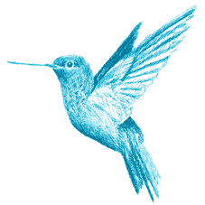 colibri