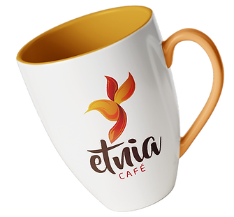 Taza etnia