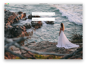 Wedding Dresses Login.png