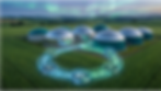 High angle view of a lush green forest
