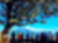 img-2_resize.JPG