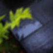 img-intro2.jpg