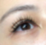 Classic Lashes