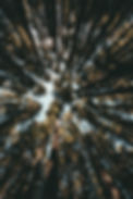 kal-visuals-a07jRijBQ38-unsplash.jpg