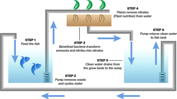 diagram.png