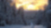 AB593F5B-2D2E-4CA2-B6D1-9894E1A7FBD9_1_105_c_edited_edited_edited.jpg