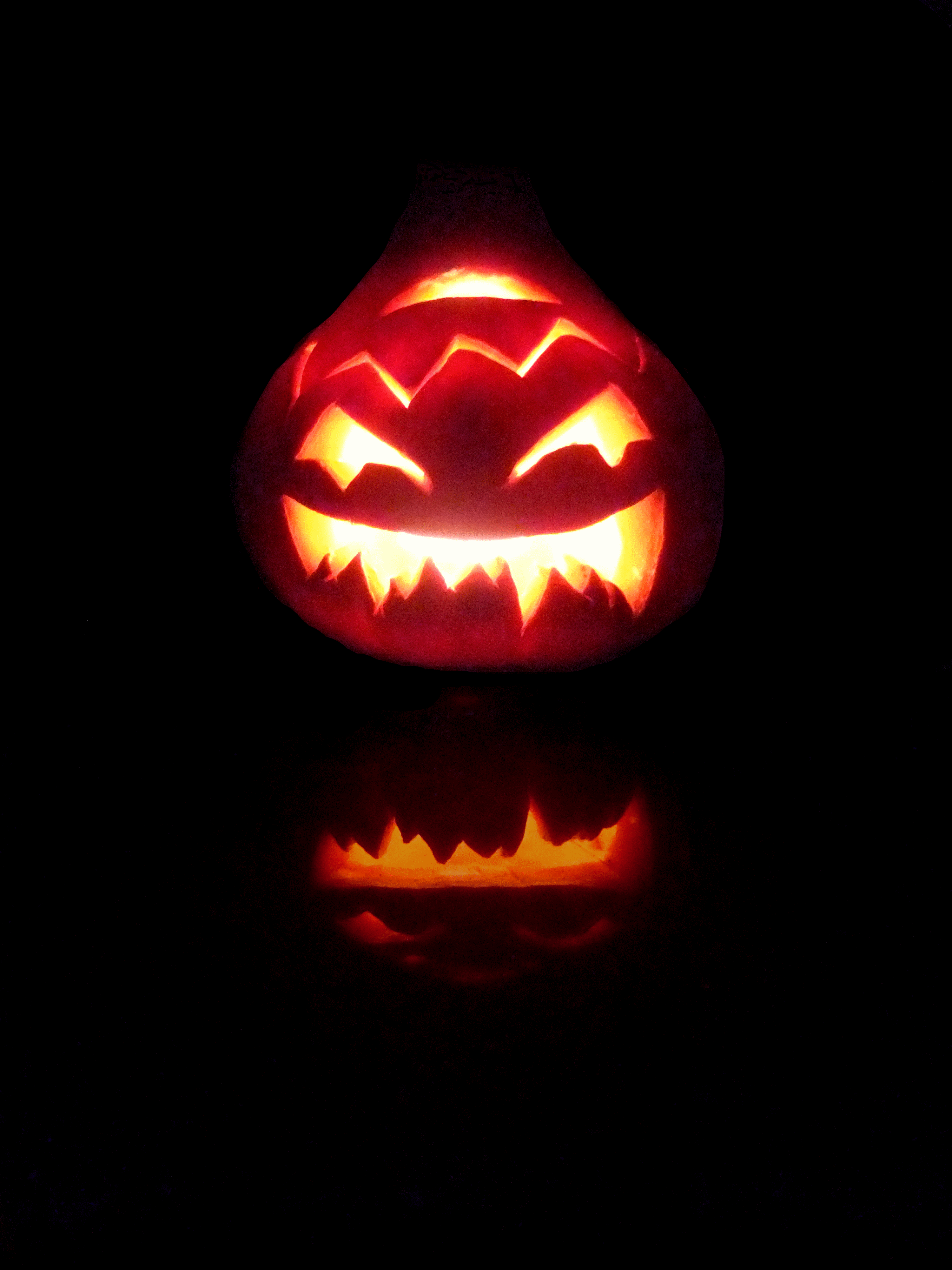 DSCF0267-2.gif