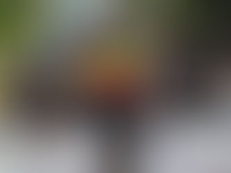 Ethiopian Tsige bags second gold medal at CAC African Championships