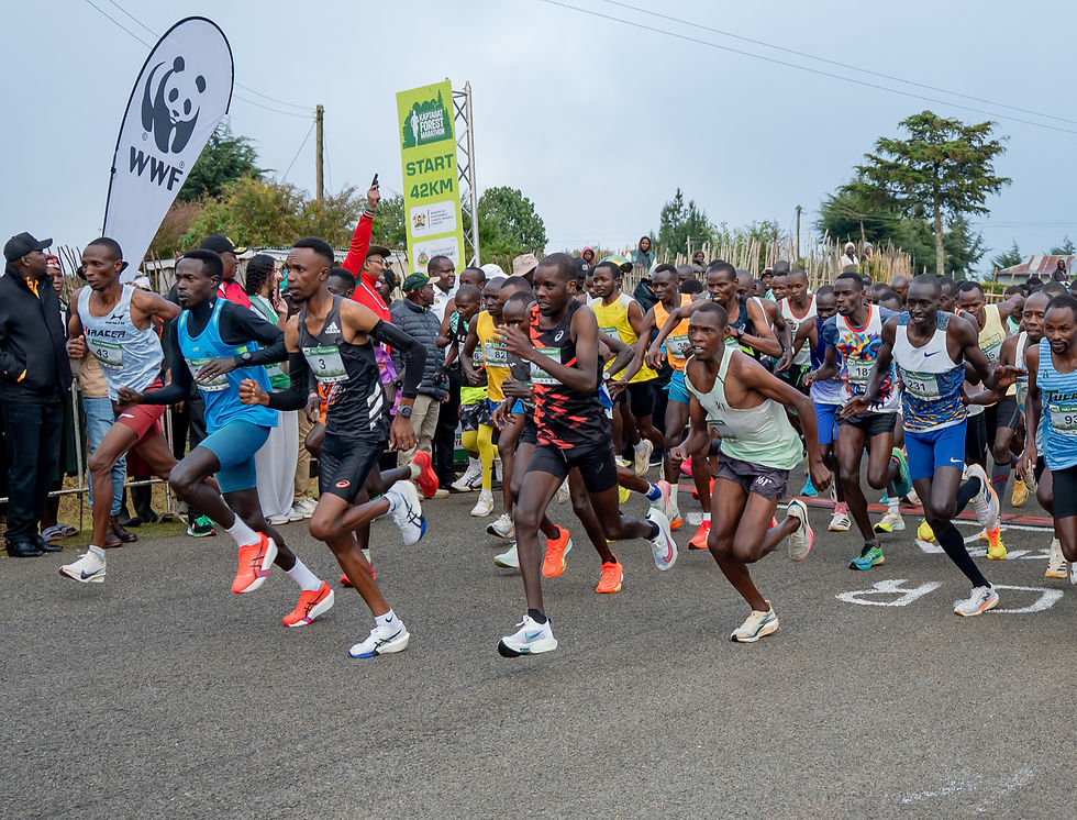 Kaptagat Forest Run (2024–2026)