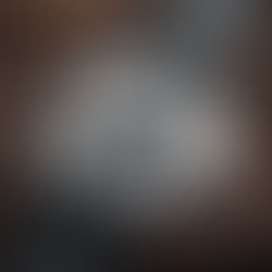 Spinnaker Watch Brand: Corporate Structure to 2025 Bestseller Trends