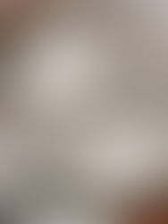 The Seiko SUR Titanium Series: A Comprehensive Analysis of Elegance and Innovation