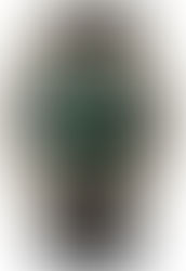 Orient Watch Company: Holistic Analysis of Success, In-House Legacy, and Strategic Positioning in the 2023–2025 Market