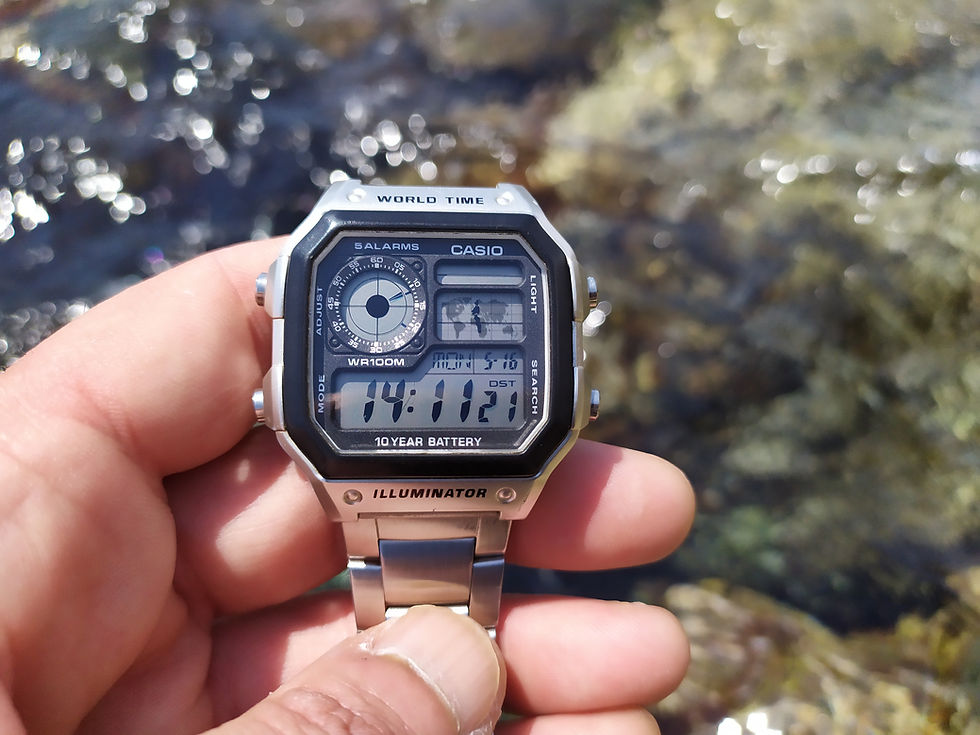 casio ae1200 silver on amazon
