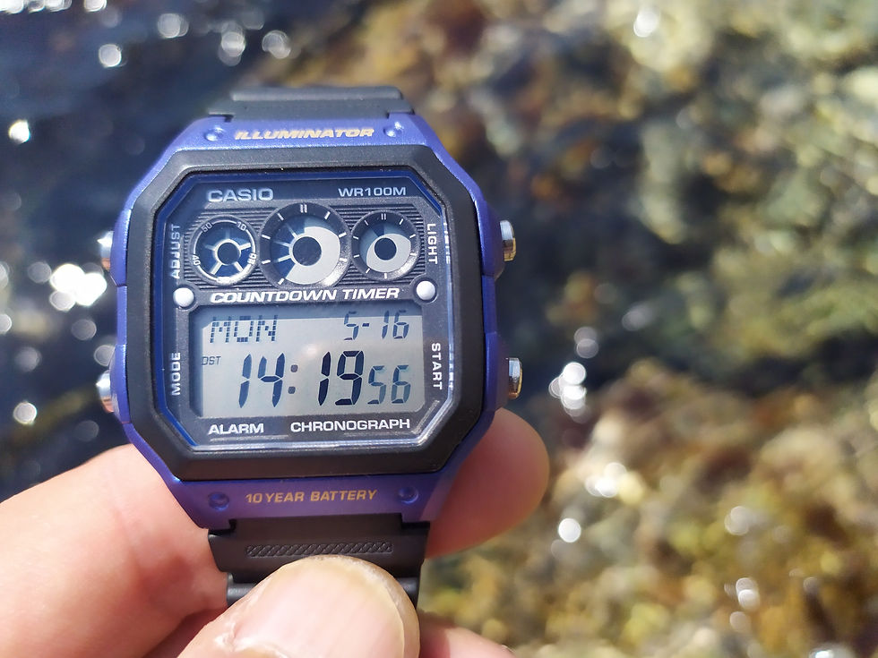 Functional and reliable, the Casio AE1300 is a solid choice for those seeking a durable digital watch with essential features. Recommended on Amazon USA