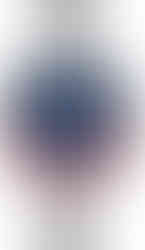 Bulova Oceanographer Devil Diver GMT Automatic Snorkel 97B215