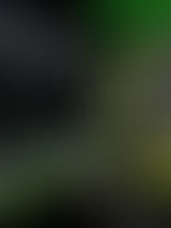 Luminox vs G-Shock: I 10 Migliori Orologi Tattici