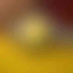 Spinnaker Piccard SP-5098-44