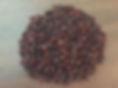 sundried-raisins-3.jpg