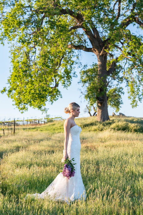 Tracey Medcalfe Photography May 2021-00001.jpg