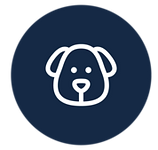 image-asset-adopt.png