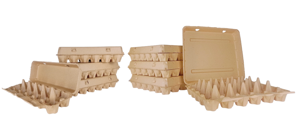 Egg Carton Philippines Unifiber