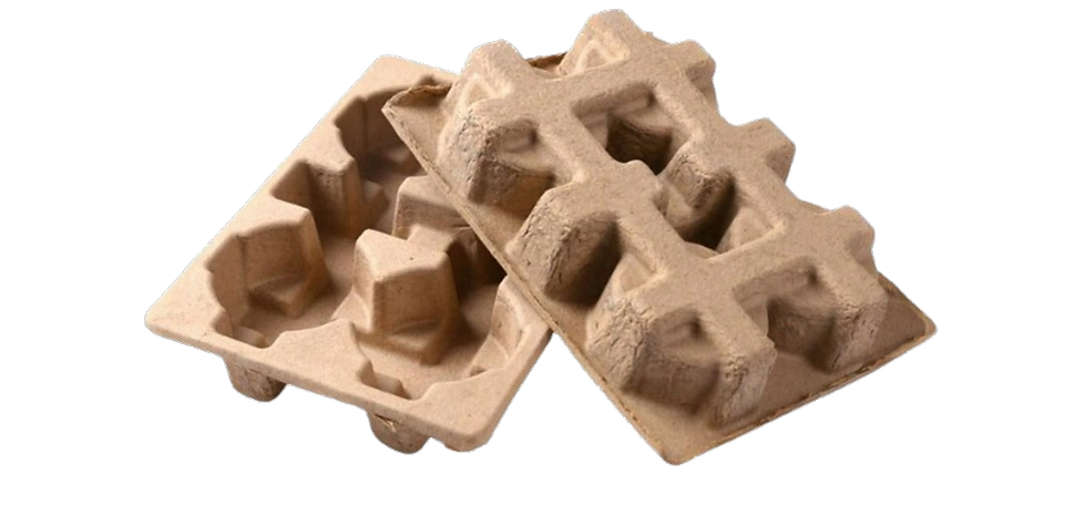 Egg Carton Tray Fam Philippines