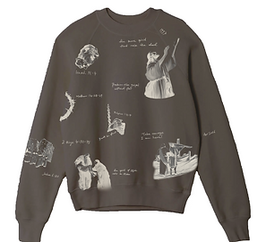 Raglan Sweatshirt_Front_Brown_v2.png