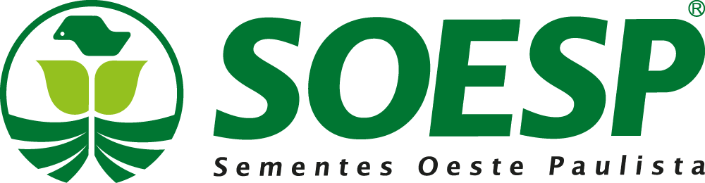 logo1.png