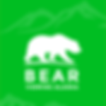 Bear Tours Alaska Best Adventure
