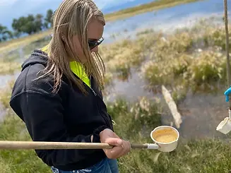 Staff checking for larvae and showing the larvae in a dipper cup.