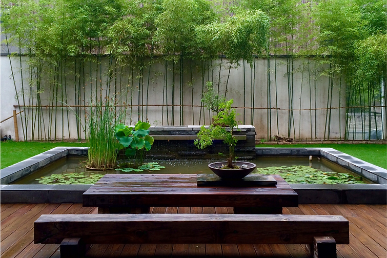 patio1