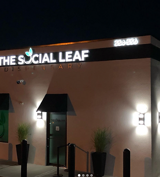 The-Social-Leaf-Follow-our-other-page-thesocialleafdispensary-thesocialleafdispensary-thes