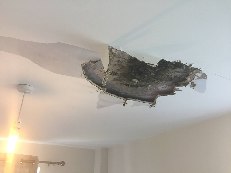 Dealing with Leak Damage: One Problem, One Solution
