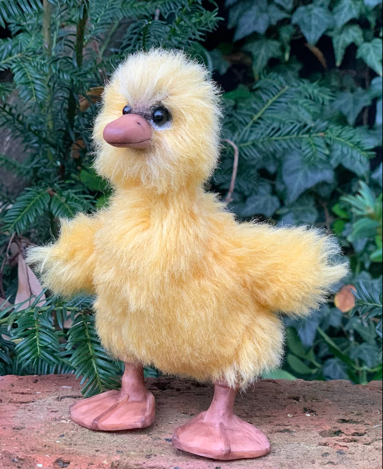 Quack Efron