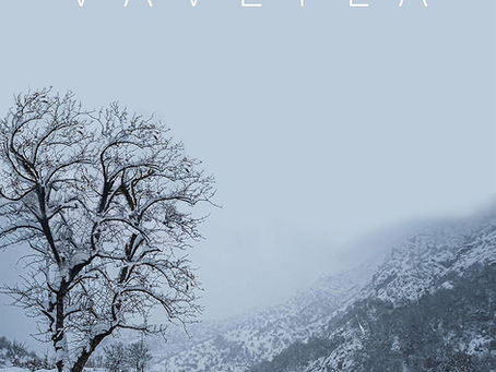 Vaveyla (Berhat Temel, 2020)