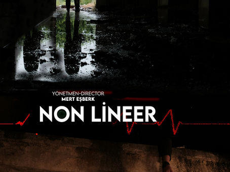 Non Lineer (Mert Eşberk, 2020)