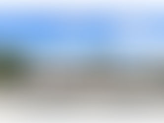 6113 SW 8th St MIAMI, FL 33144