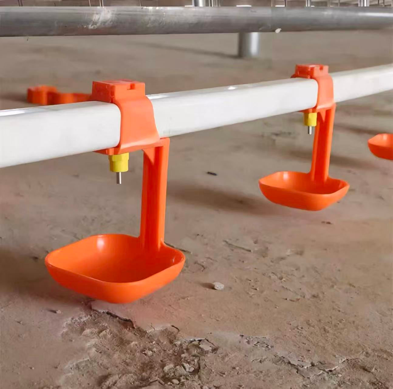 Auto Waterline For Broilers (Customised)