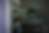 pete_coach-2_Background.png