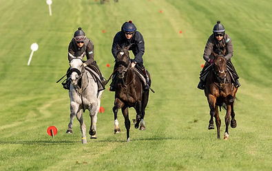 acclaimed to freedom(middle) (6).jpg
