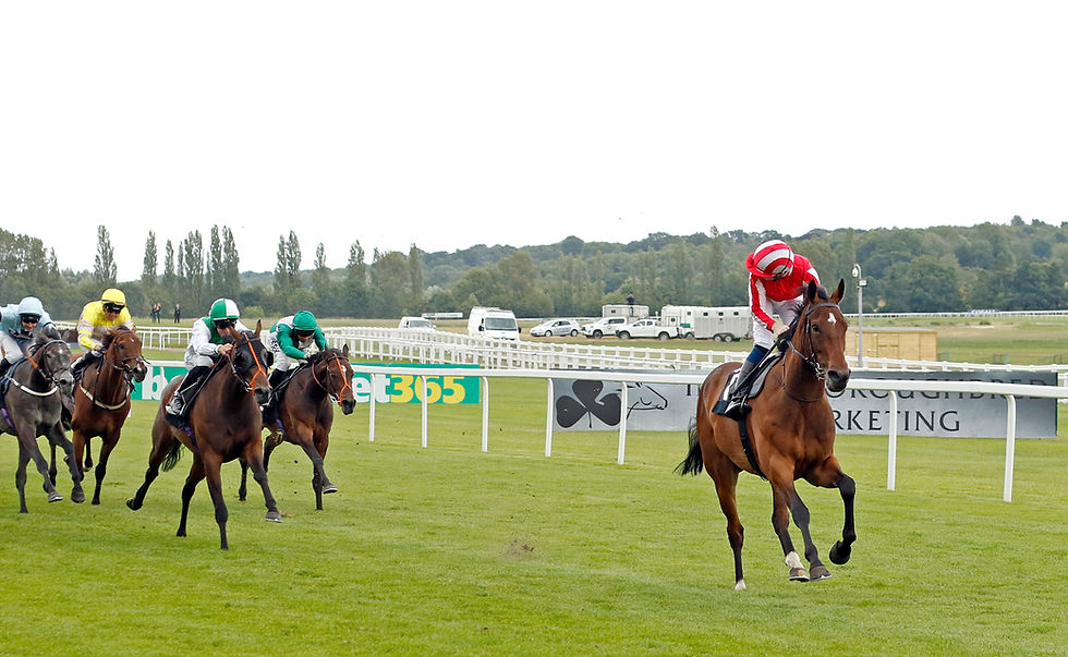 George Scott Racing Logo Racehorse Trainer | George Scott Racing | Newmarket