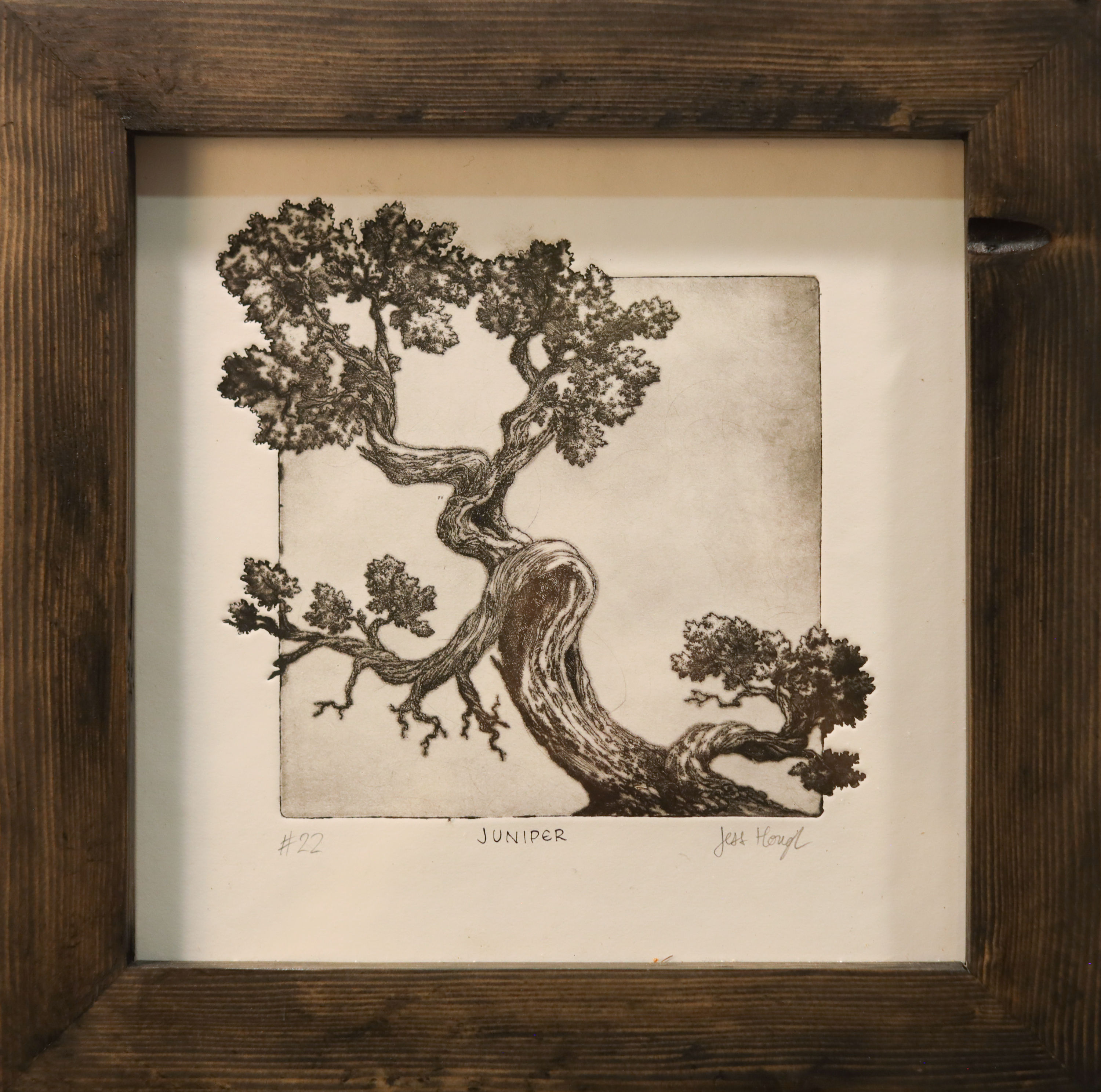 Juniper #22 (Reclaimed Wood Frame) - Hough
